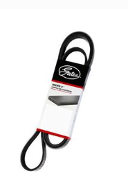 Correa 8Pk1780 Gates SKU C9101712