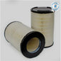 Filtro Aire P618941 Donaldson SKU C9100977