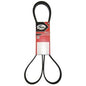 Correa 8Pk1605    Gates SKU C9111830