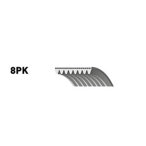 Correa 8Pk1565   Gates SKU C9113633
