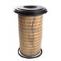 FILTRO AIRE AP4650 C9109176