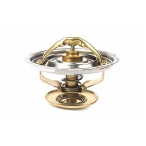TERMOSTATO 79° P/GRANDE C9109837