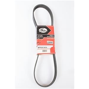 CORREA 8PK975 C9113635