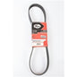 CORREA 8PK975 C9113635