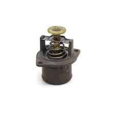 TERMOSTATO MWM C9500043
