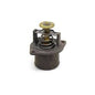 TERMOSTATO MWM C9500043