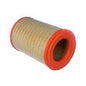 FILTRO AIRE ARS1187 C9109536