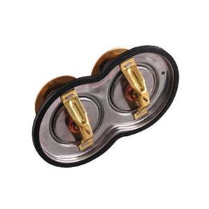 TERMOSTATO 75/80° C9119249