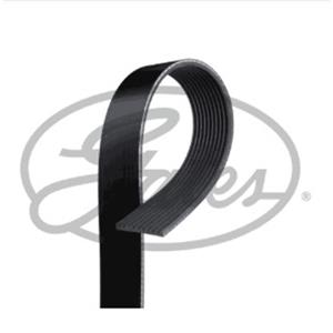 CORREA 8PK1538 C9114145