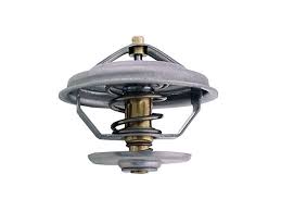 TERMOSTATO 75° PLATILLO CHICO C9109598