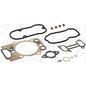 Empaquetaduras Descarbonizado Dc13 - Xpi Scania Elring SKU C8117983 OEM 2308201